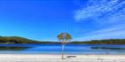Lake McKenzie - Fraser Island - QLD (PB5D 00 51A1665)